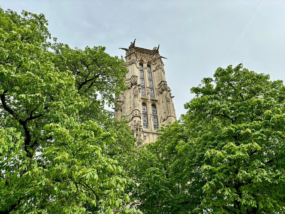 Vue de la tour Saint Jacques depuis les arbres