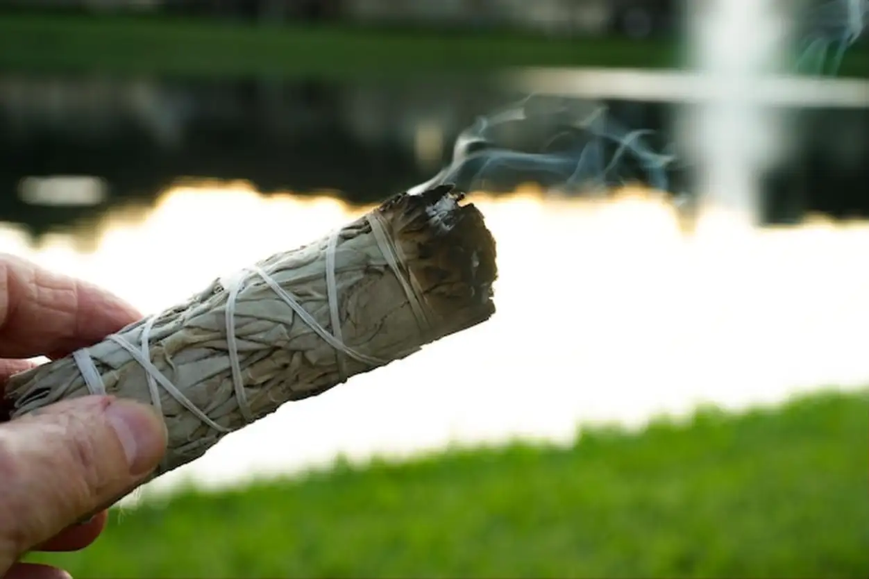 Sage in nature for meditation