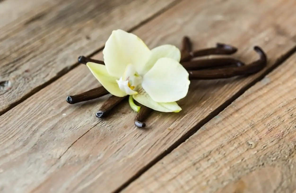 Dried vanilla pods and vanilla orchid on wooden table