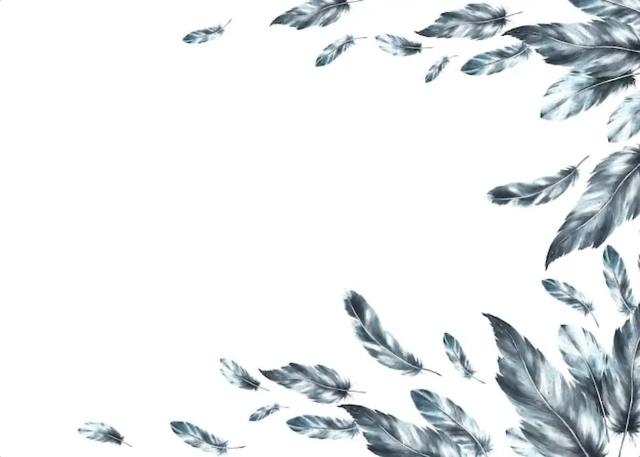 Watercolor monochrome banner bird gray black feathers with granulation of shades and natural