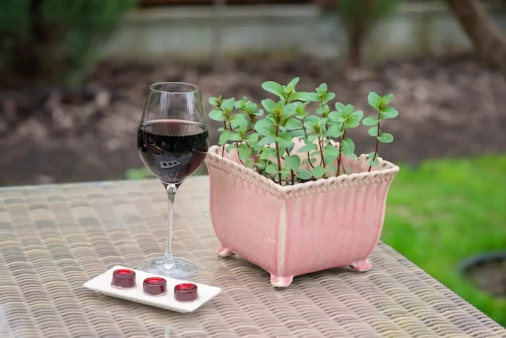 A glass of red wine and marmalade wine candies on a table next to a mint pot.