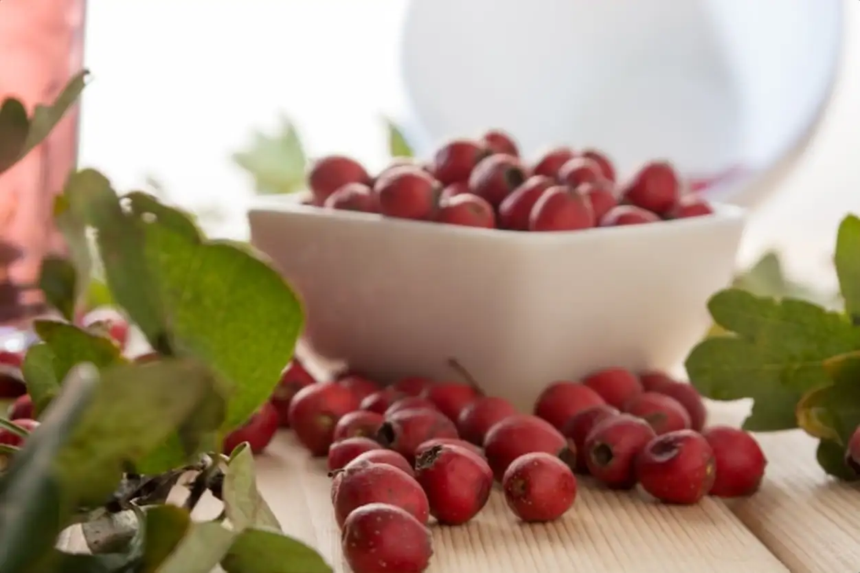 Hawthorn berries in the white bowl on the wooden table