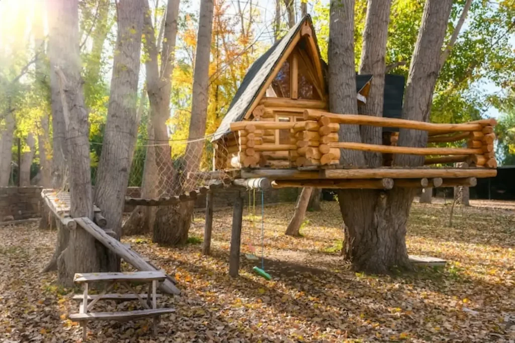 Big tree house in autumn