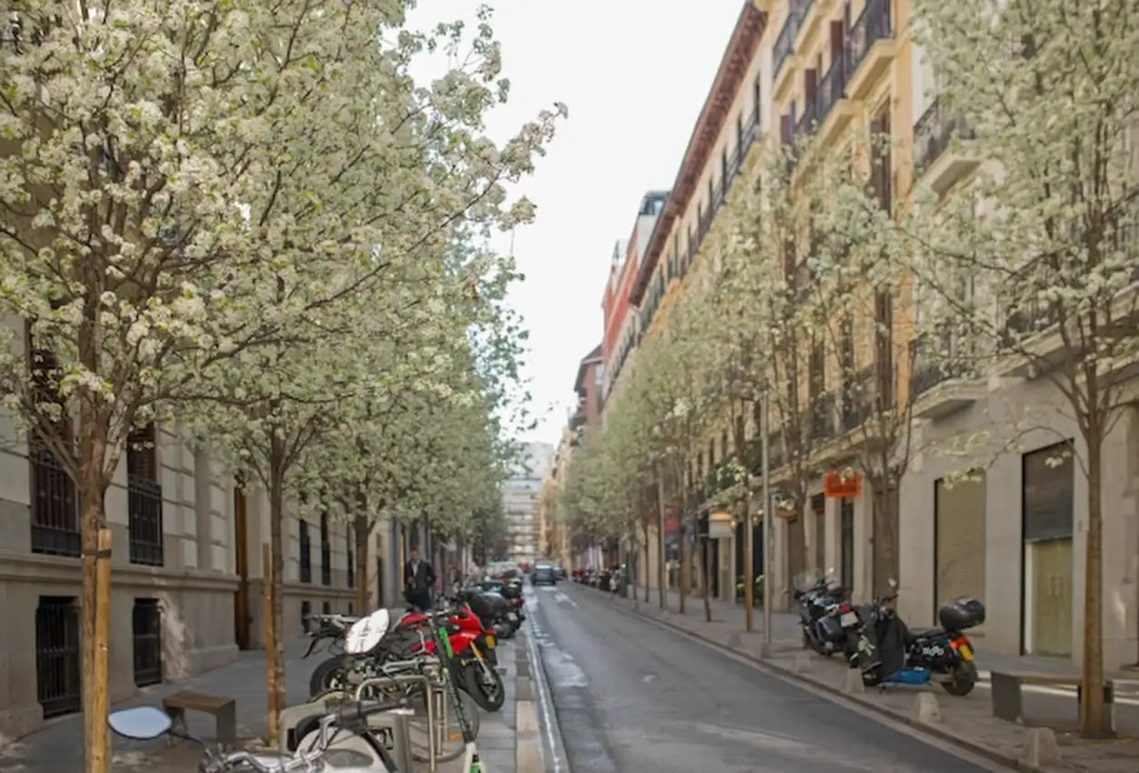 Streets of madrid in spring Madrid Spain March 2021 The Arenal street in downtown Madrid in Spain Europe