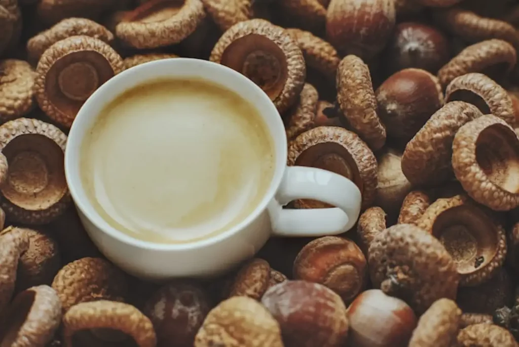 Acorn coffee from roasted acorns