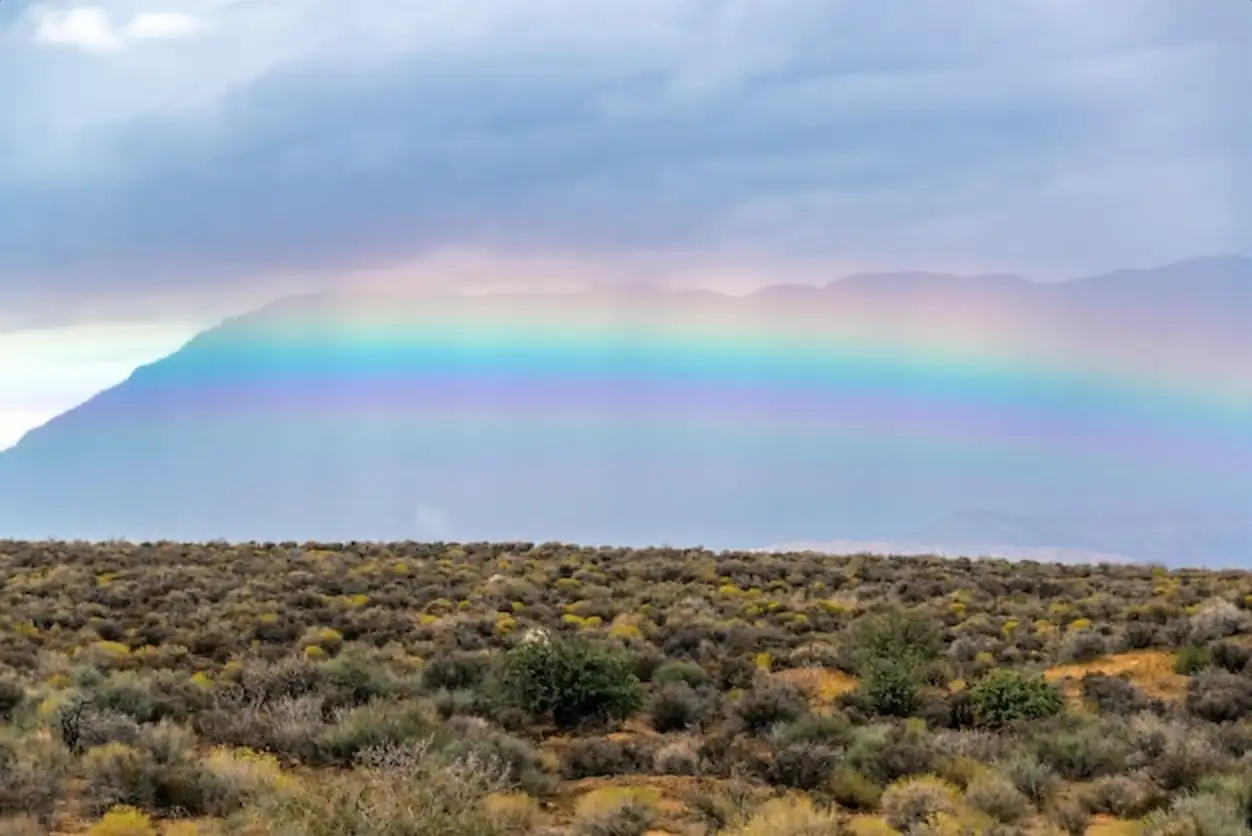 Scenic view of rainbow at zion national park in utah