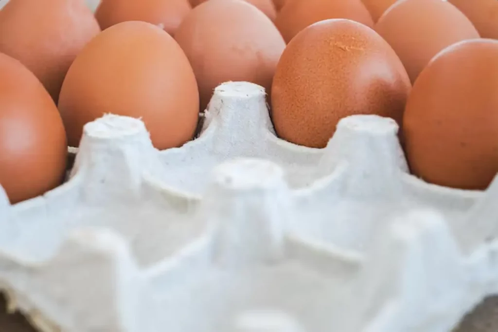 Chicken egg packaging closeup fresh produce from farmers market recycled packaging