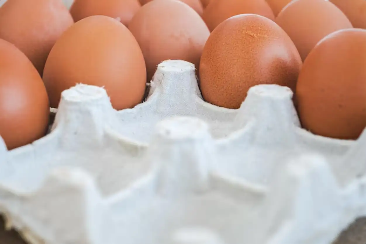 Chicken egg packaging closeup fresh produce from farmers market recycled packaging
