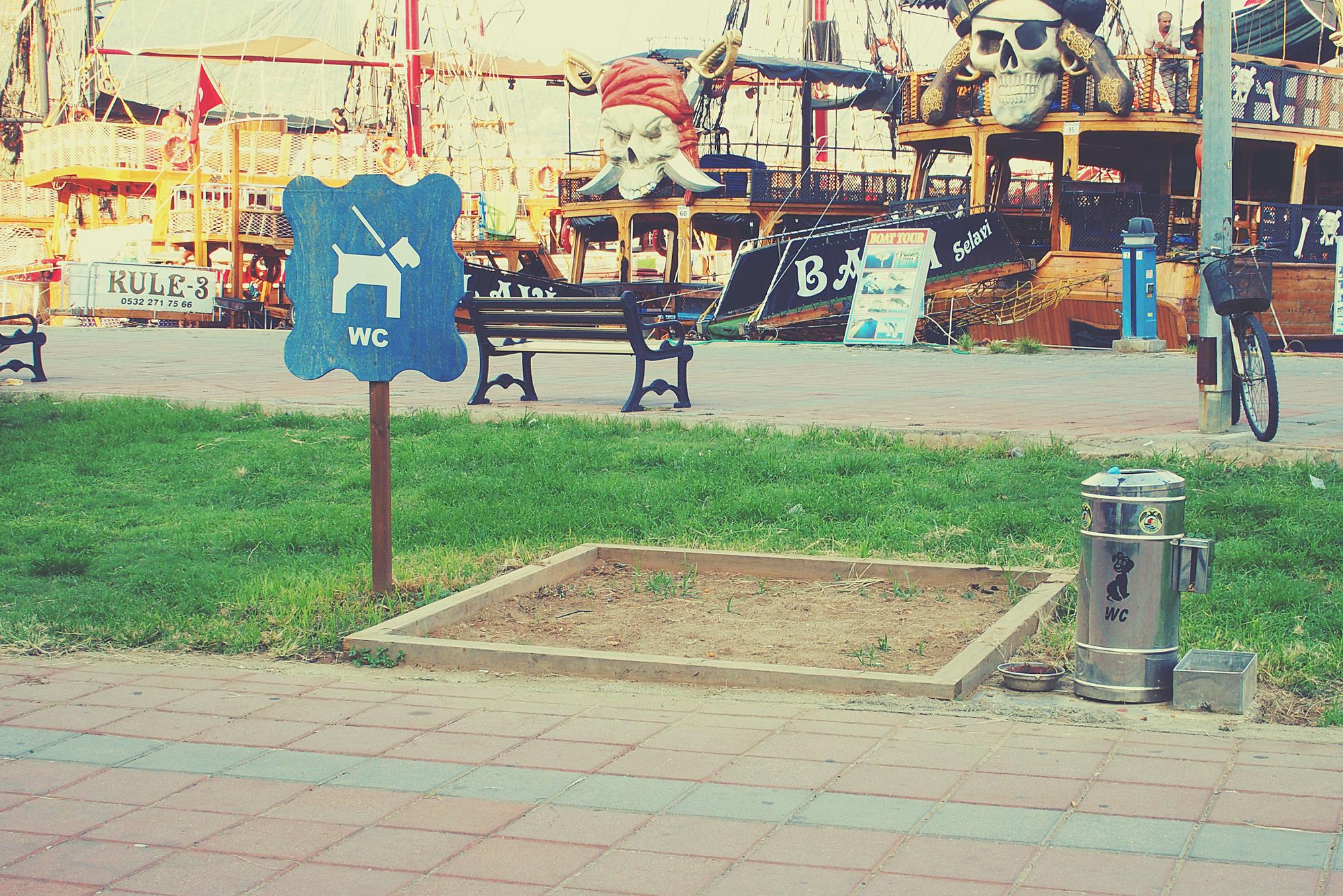 📍 Où se trouvent les Puces de Vanves et comment y accéder ?