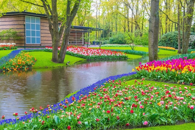 🌿 Les jardins et biodiversité : pourquoi c'est un paradis vert unique ?