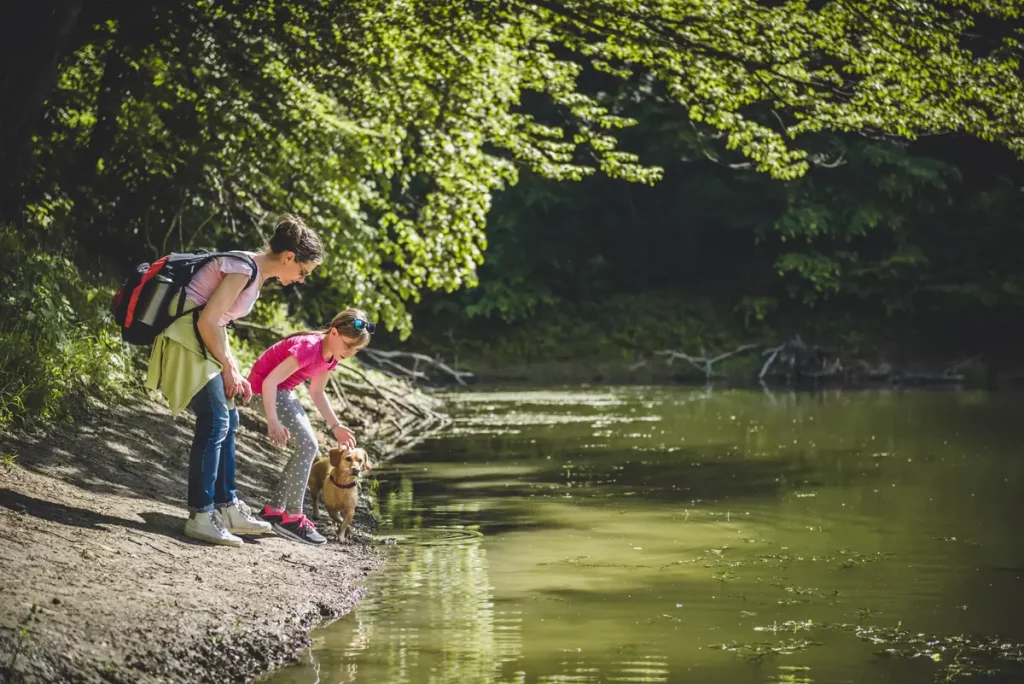 île loisirs lac verdure famille activités