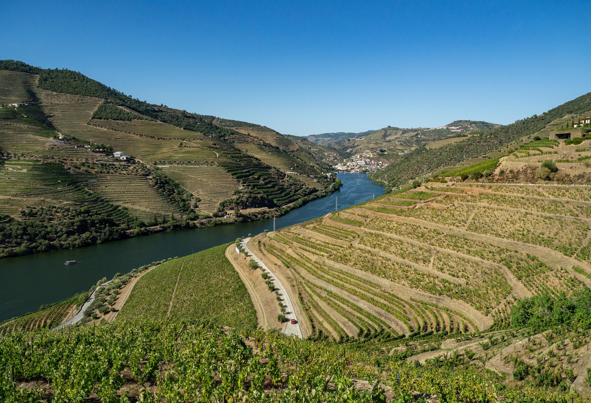 🍷 Vallée du Douro, Portugal : vins et luxe abordable