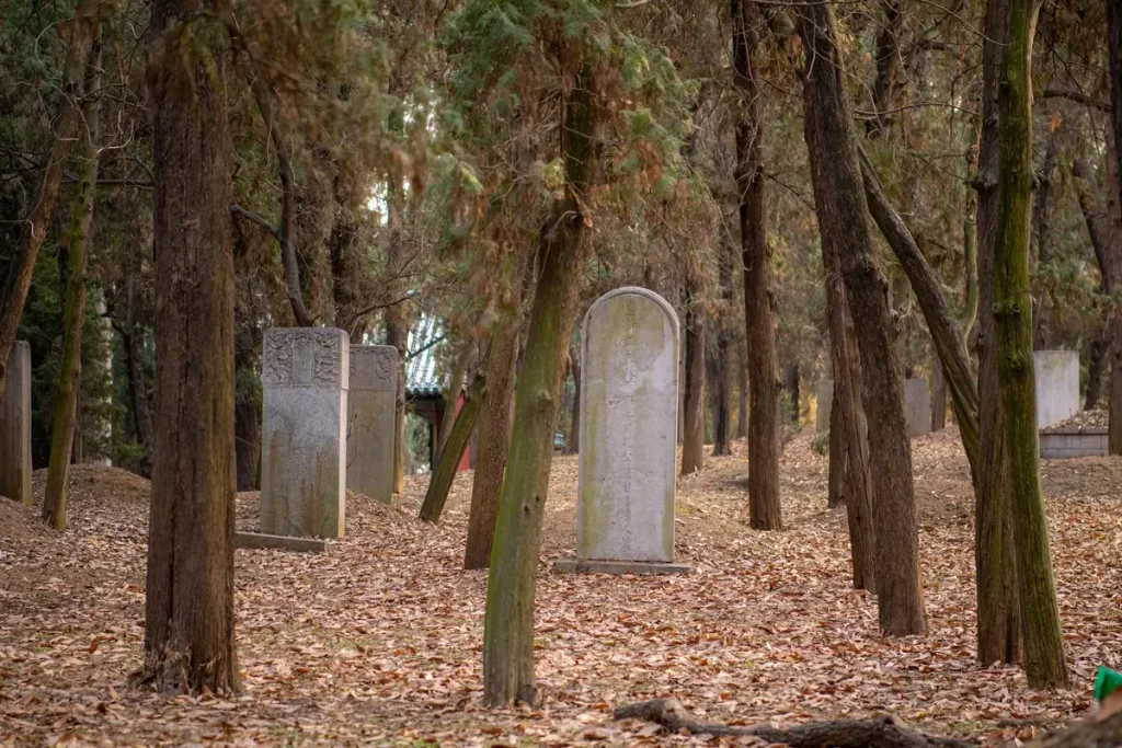 cimetiere pere lachaise tombes celebres arbres entree porte