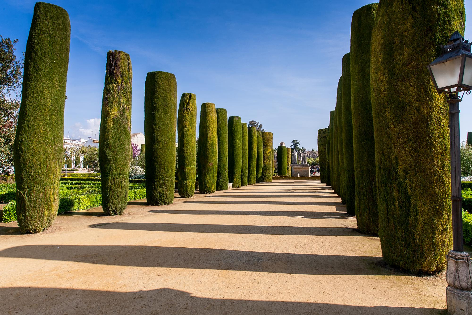 🌳 Après le Louvre : enchaîne avec les Tuileries ou gratuit ?